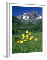 Mule's Ears, Maroon Bells, CO-David Carriere-Framed Premium Photographic Print