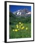 Mule's Ears, Maroon Bells, CO-David Carriere-Framed Premium Photographic Print