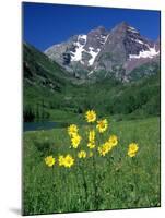 Mule's Ears, Maroon Bells, CO-David Carriere-Mounted Premium Photographic Print