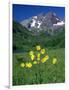 Mule's Ears, Maroon Bells, CO-David Carriere-Framed Photographic Print