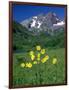 Mule's Ears, Maroon Bells, CO-David Carriere-Framed Photographic Print