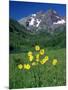 Mule's Ears, Maroon Bells, CO-David Carriere-Mounted Photographic Print