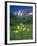 Mule's Ears, Maroon Bells, CO-David Carriere-Framed Photographic Print