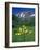 Mule's Ears, Maroon Bells, CO-David Carriere-Framed Photographic Print