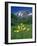 Mule's Ears, Maroon Bells, CO-David Carriere-Framed Photographic Print