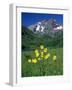 Mule's Ears, Maroon Bells, CO-David Carriere-Framed Photographic Print