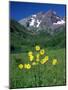 Mule's Ears, Maroon Bells, CO-David Carriere-Mounted Photographic Print