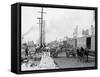 Mule Teams and the Levee, New Orleans, Louisiana-null-Framed Stretched Canvas