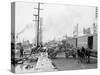 Mule Teams and the Levee, New Orleans, Louisiana-null-Stretched Canvas