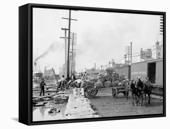 Mule Teams and the Levee, New Orleans, Louisiana-null-Framed Stretched Canvas