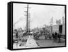 Mule Teams and the Levee, New Orleans, Louisiana-null-Framed Stretched Canvas