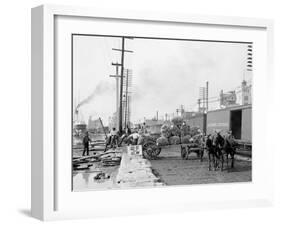 Mule Teams and the Levee, New Orleans, Louisiana-null-Framed Photo