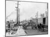 Mule Teams and the Levee, New Orleans, Louisiana-null-Mounted Photo