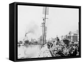 Mule Teams on the Levee, New Orleans, La.-null-Framed Stretched Canvas