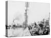 Mule Teams on the Levee, New Orleans, La.-null-Stretched Canvas