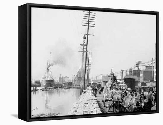 Mule Teams on the Levee, New Orleans, La.-null-Framed Stretched Canvas