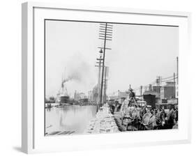 Mule Teams on the Levee, New Orleans, La.-null-Framed Photo