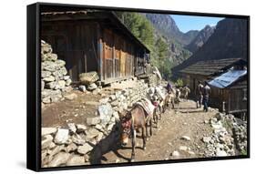 Mule Train Between Phakding and Namche, Everest Base Camp Trek, Solukhumbu, Nepal, Himalayas, Asia-Peter Barritt-Framed Stretched Canvas