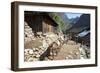 Mule Train Between Phakding and Namche, Everest Base Camp Trek, Solukhumbu, Nepal, Himalayas, Asia-Peter Barritt-Framed Photographic Print