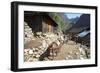 Mule Train Between Phakding and Namche, Everest Base Camp Trek, Solukhumbu, Nepal, Himalayas, Asia-Peter Barritt-Framed Photographic Print