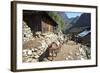 Mule Train Between Phakding and Namche, Everest Base Camp Trek, Solukhumbu, Nepal, Himalayas, Asia-Peter Barritt-Framed Photographic Print