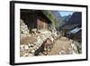 Mule Train Between Phakding and Namche, Everest Base Camp Trek, Solukhumbu, Nepal, Himalayas, Asia-Peter Barritt-Framed Photographic Print