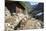 Mule Train Between Phakding and Namche, Everest Base Camp Trek, Solukhumbu, Nepal, Himalayas, Asia-Peter Barritt-Mounted Photographic Print