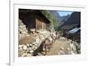 Mule Train Between Phakding and Namche, Everest Base Camp Trek, Solukhumbu, Nepal, Himalayas, Asia-Peter Barritt-Framed Photographic Print