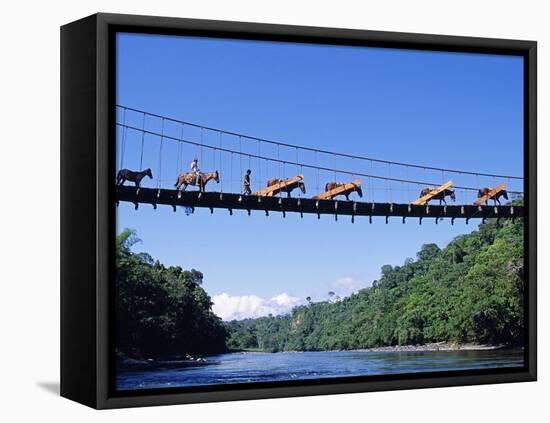 Mule Train Crossing a Bridge over the Rio Upano, Moreno Santiago Province, Ecuador-Paul Harris-Framed Stretched Canvas