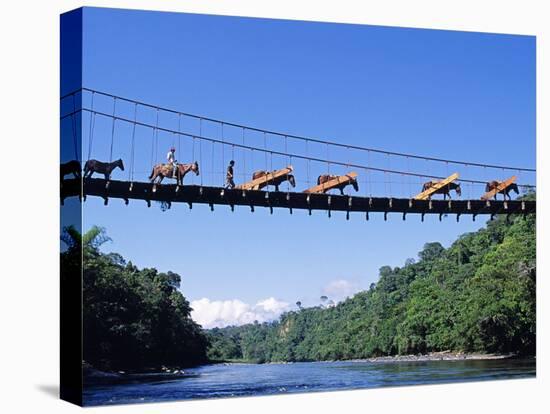 Mule Train Crossing a Bridge over the Rio Upano, Moreno Santiago Province, Ecuador-Paul Harris-Stretched Canvas