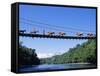 Mule Train Crossing a Bridge over the Rio Upano, Moreno Santiago Province, Ecuador-Paul Harris-Framed Stretched Canvas