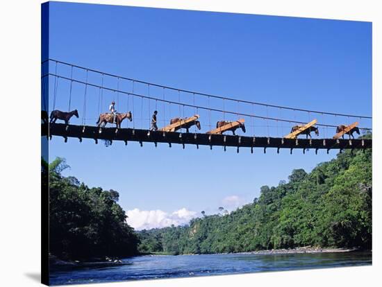 Mule Train Crossing a Bridge over the Rio Upano, Moreno Santiago Province, Ecuador-Paul Harris-Stretched Canvas