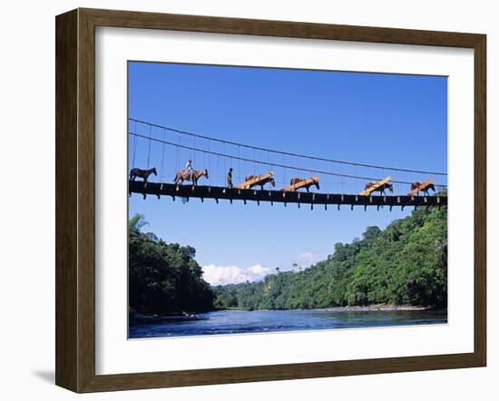 Mule Train Crossing a Bridge over the Rio Upano, Moreno Santiago Province, Ecuador-Paul Harris-Framed Photographic Print