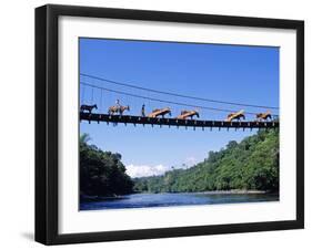 Mule Train Crossing a Bridge over the Rio Upano, Moreno Santiago Province, Ecuador-Paul Harris-Framed Photographic Print