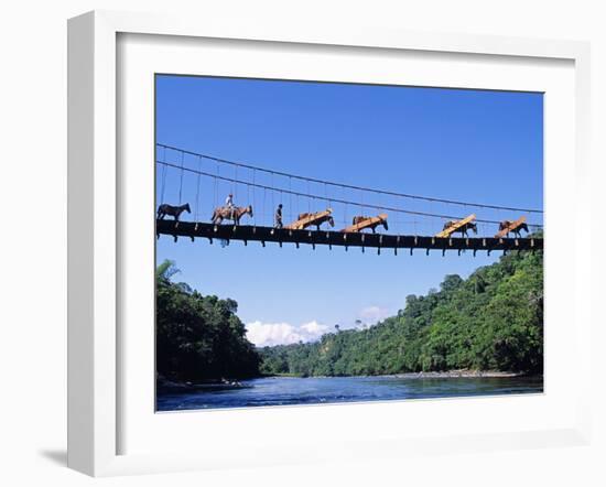 Mule Train Crossing a Bridge over the Rio Upano, Moreno Santiago Province, Ecuador-Paul Harris-Framed Photographic Print