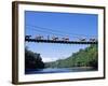 Mule Train Crossing a Bridge over the Rio Upano, Moreno Santiago Province, Ecuador-Paul Harris-Framed Photographic Print