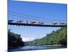 Mule Train Crossing a Bridge over the Rio Upano, Moreno Santiago Province, Ecuador-Paul Harris-Mounted Photographic Print