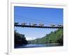 Mule Train Crossing a Bridge over the Rio Upano, Moreno Santiago Province, Ecuador-Paul Harris-Framed Photographic Print