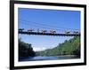 Mule Train Crossing a Bridge over the Rio Upano, Moreno Santiago Province, Ecuador-Paul Harris-Framed Photographic Print