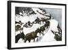 Mule Train Going to the Silver Mines of Colorado-null-Framed Giclee Print