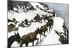 Mule Train Going to the Silver Mines of Colorado-null-Mounted Giclee Print