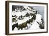 Mule Train Going to the Silver Mines of Colorado-null-Framed Giclee Print