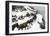 Mule Train Going to the Silver Mines of Colorado-null-Framed Giclee Print