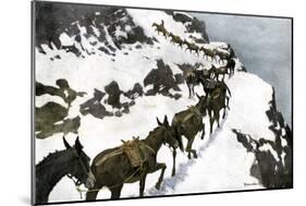 Mule Train Going to the Silver Mines of Colorado-null-Mounted Giclee Print