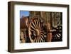 Mule Train Wagon, Harmony Borax Works, Death Valley, California, USA-Michel Hersen-Framed Photographic Print