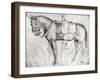 Mule-Antonio Pisani Pisanello-Framed Giclee Print