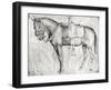 Mule-Antonio Pisani Pisanello-Framed Giclee Print