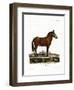 Mule-null-Framed Giclee Print