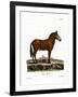 Mule-null-Framed Giclee Print