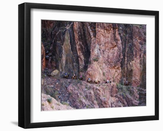 Mules Taking Tourists Along the Colorado River Trail, Grand Canyon, Arizona, USA-Kober Christian-Framed Photographic Print